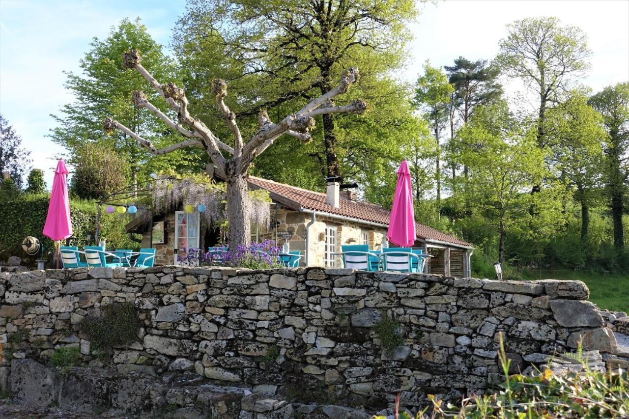 Bed and Breakfast Domaine Les Teuilleres Lacam-d'Ourcet Екстер'єр фото